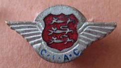 ciacgsybadge