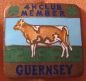 4H_Club_Member_Guernsey
