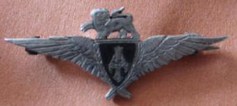 impairbadge