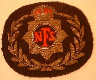 National_Fire_Service_Officer