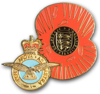 Royal_British_Legion_RAF_Poppy_2008