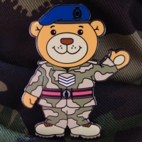 Jersey_Field_Squadron_Royal_Engineers_Sergeant_Braile_Bear_2009