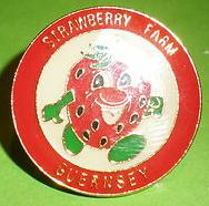 Strawberry_Farm_Guernsey