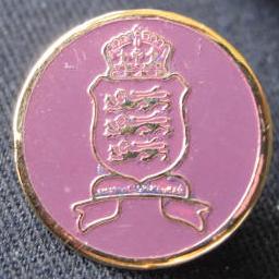 Victoria_College_House_Badge_Diarmid